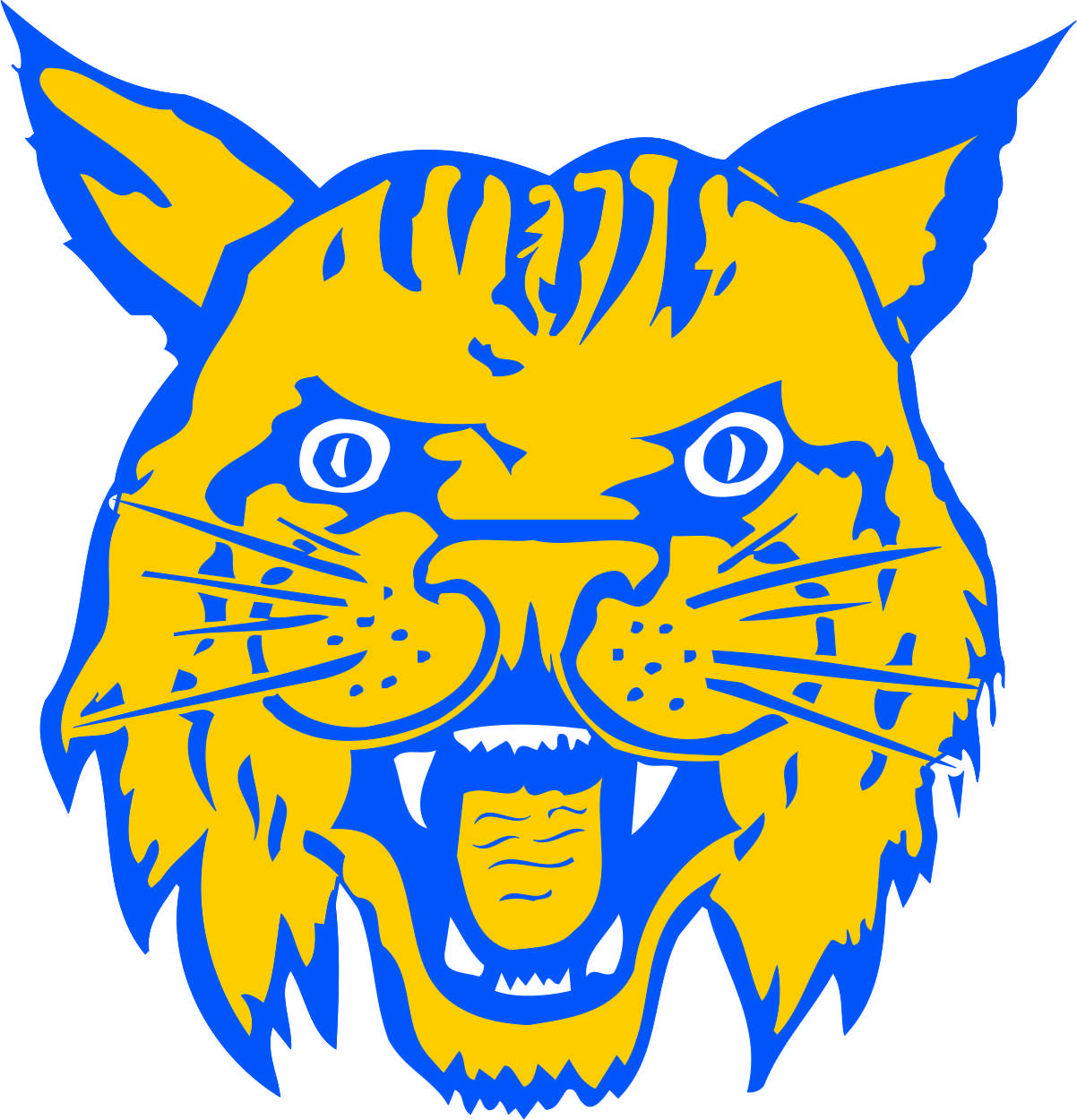 Miller City-New Cleveland Local School